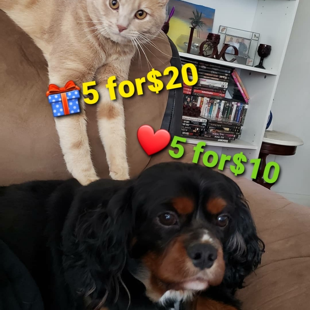 🎁❤SALE❤🎁